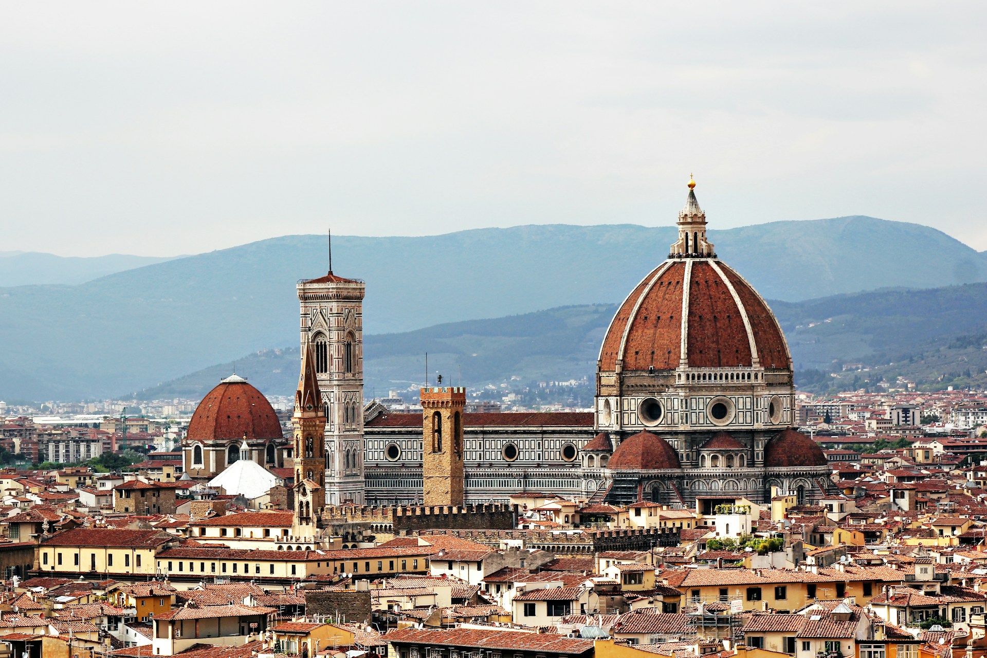 fixer in Florence