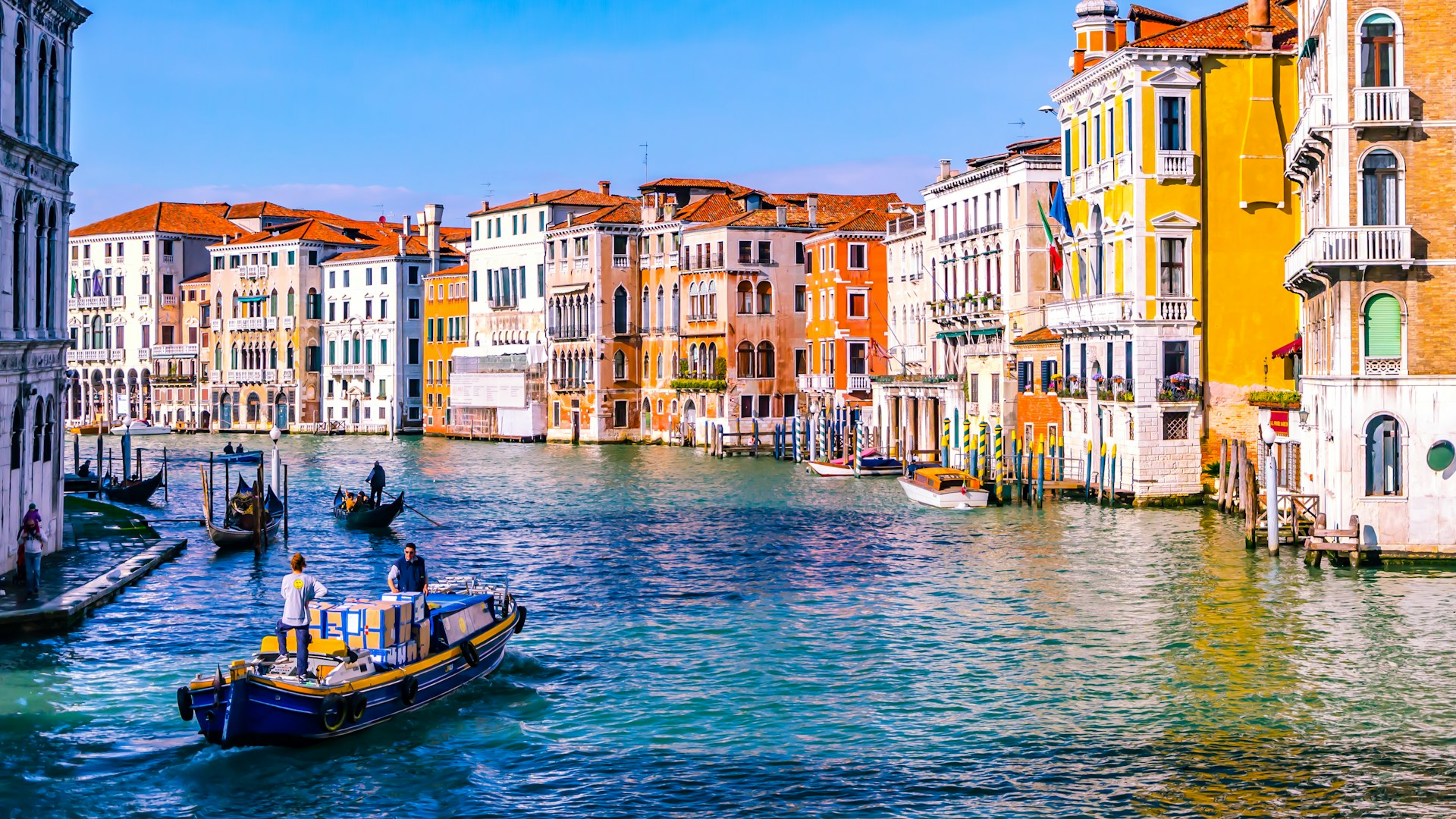 fixer in Venice